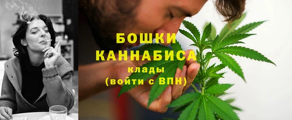 спайс Богородск