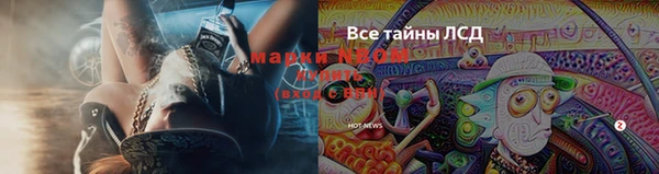 спайс Богородск