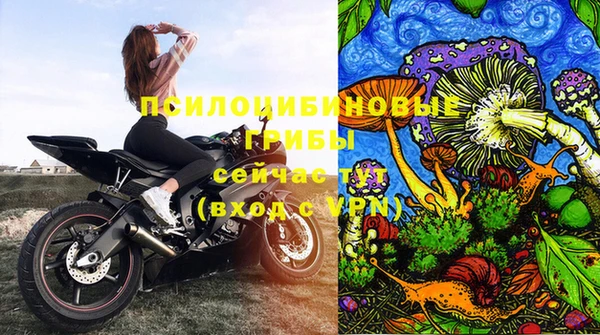 прущая мука Богородицк