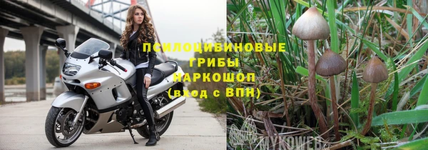 спайс Богородск