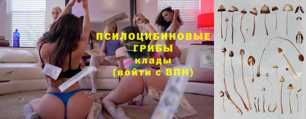 прущая мука Богородицк