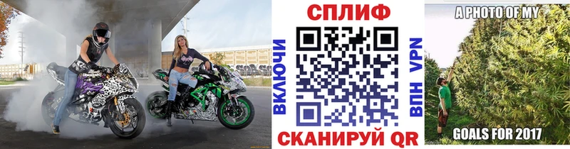 где купить наркоту  Колпашево  Канабис марихуана 